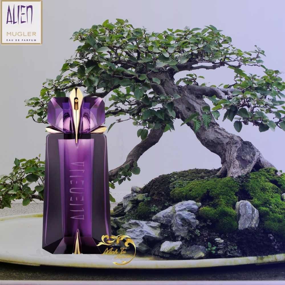 Nước Hoa Nữ Thierry Mugler Alien EDP